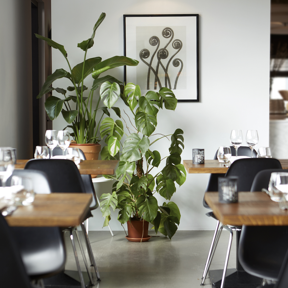 Restaurant bij het hotel in het Vechtdal