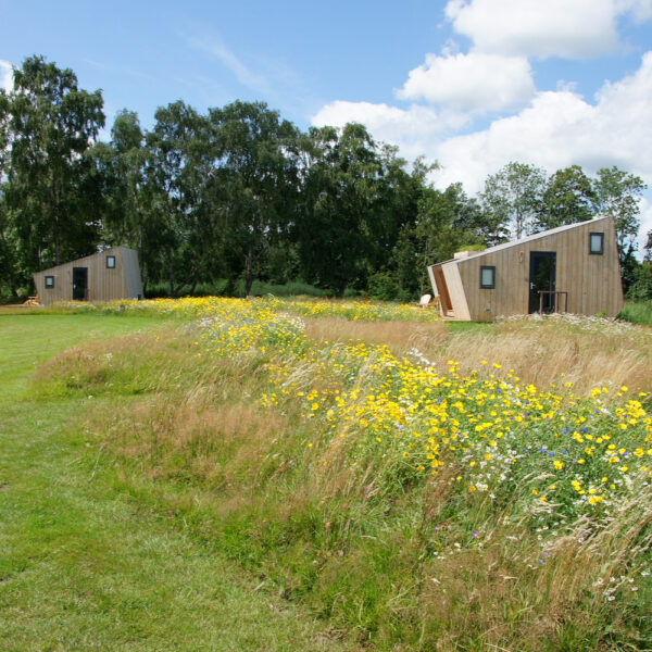 Duurzame huisjes aan het water in Friesland