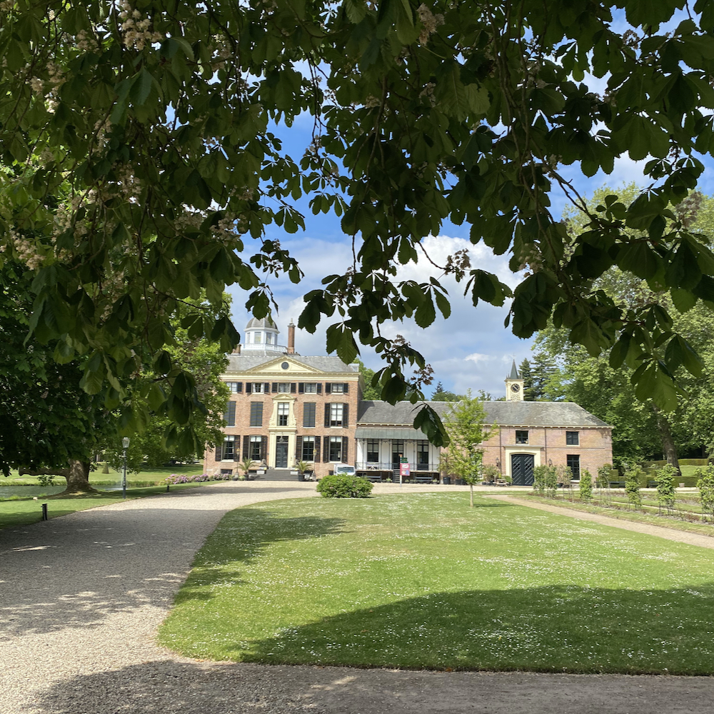Kasteel Rosendael tussen de bomen door
