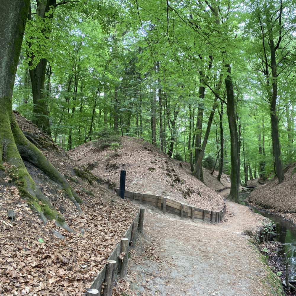 Wandelen langs de beek op Landgoed Beekhuzien