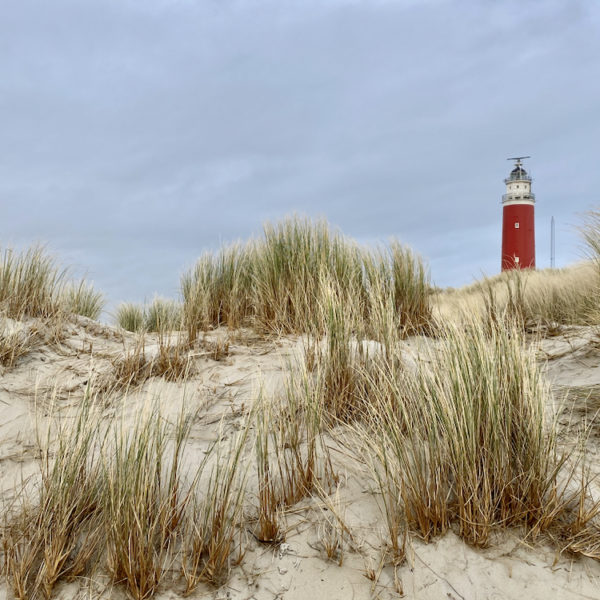 Vuurtoren op Texel gezien vanuit de duinen