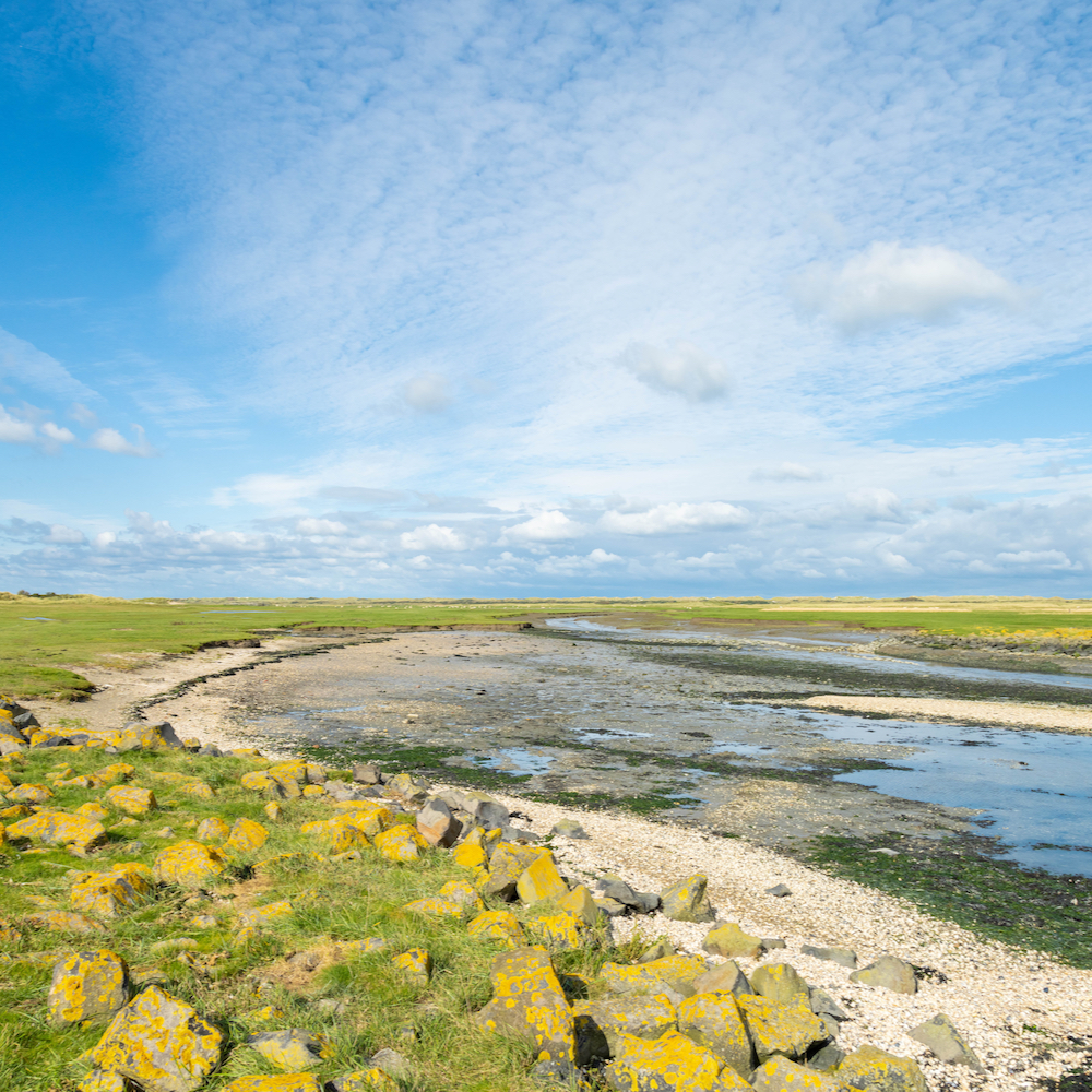 Polders op Ameland