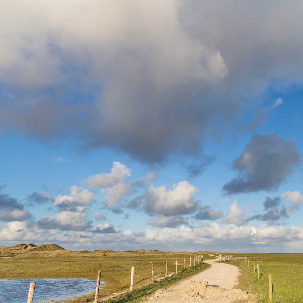 Wandelpad op Ameland