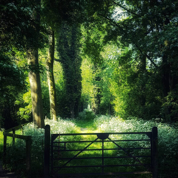Wandelen op Landgoed Linschoten