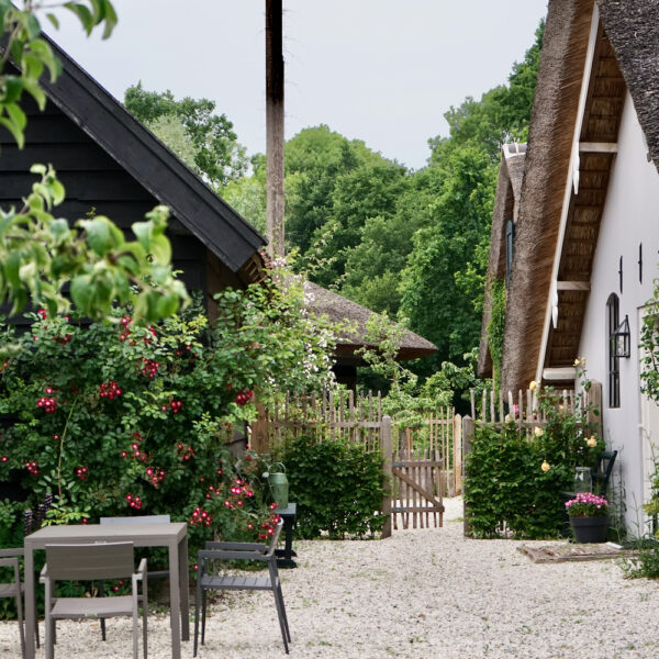 Tuin bij het vakantiehuis
