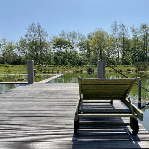 Ecologische zwemvijver bij accommodatie op Texel