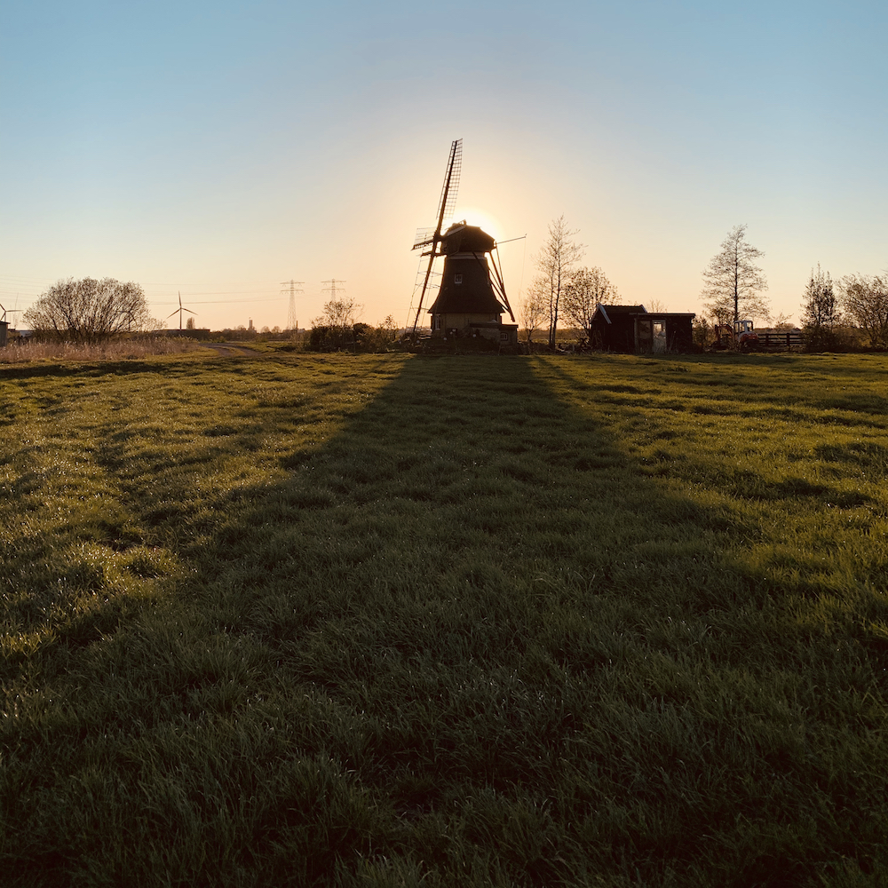 De molen bij zonsopgang