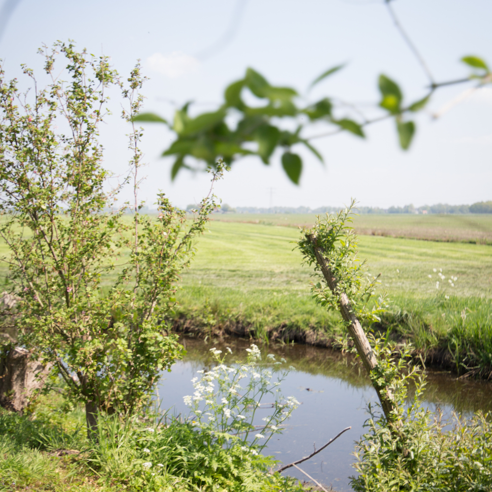 Natuur en uitzicht vanuit de molen