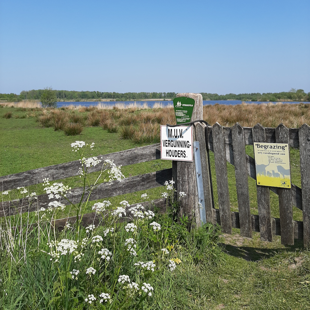 Vakantiehuis in de buurt van een natuurgebied in Friesland
