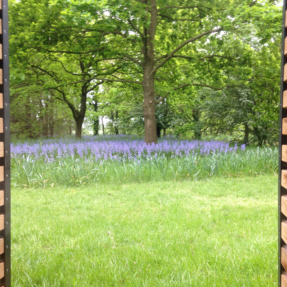 Tuin met hoog gras en paarse bloemen bij het vakantiehuis