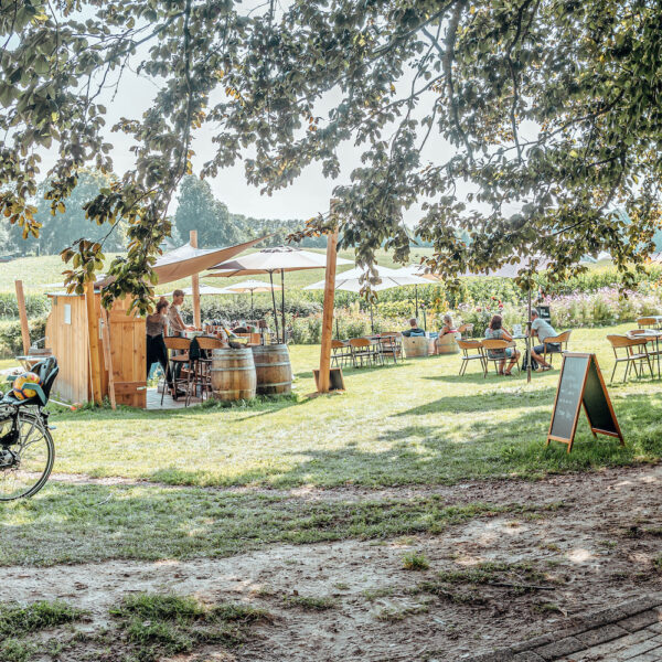 Terras in de wijngaard, aan de rand van Berg en Dal