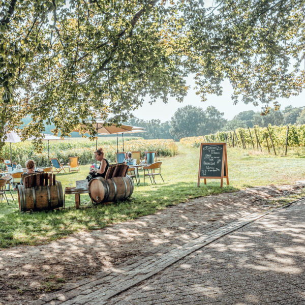 Terras in een wijngaard