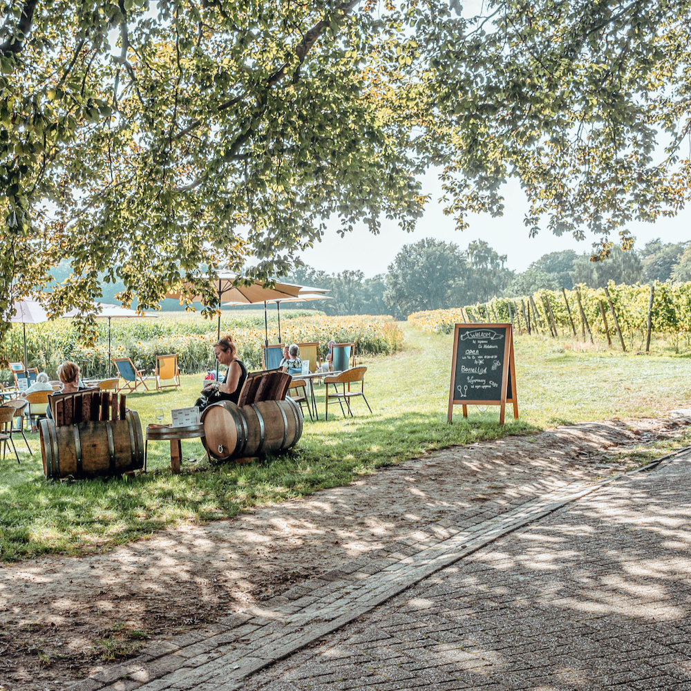 Terras in een wijngaard