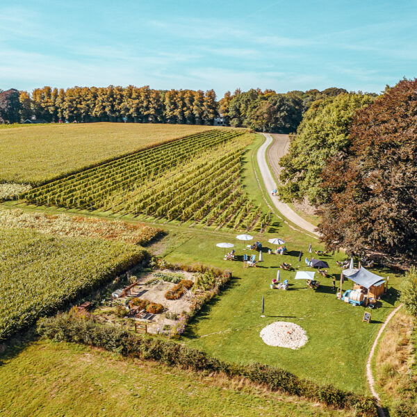Luchtfoto van de wijngaard met een terras