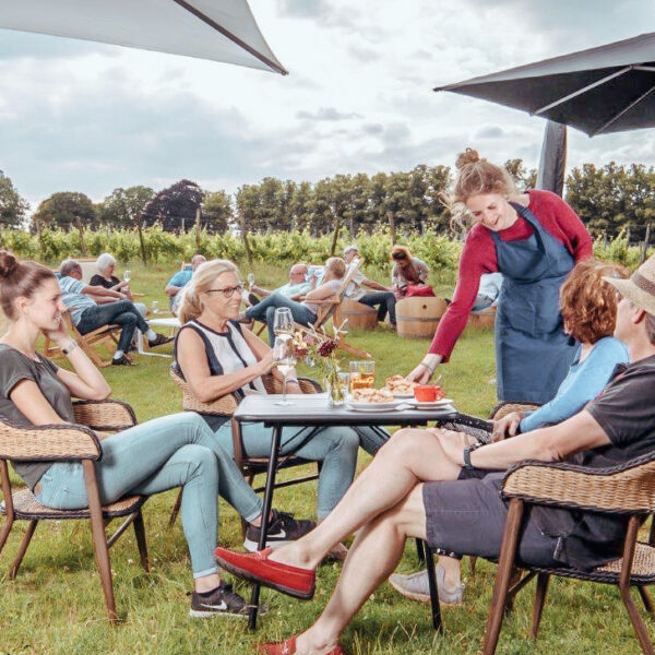 Wijn proeverij in het gras aan de rand van een wijngaard