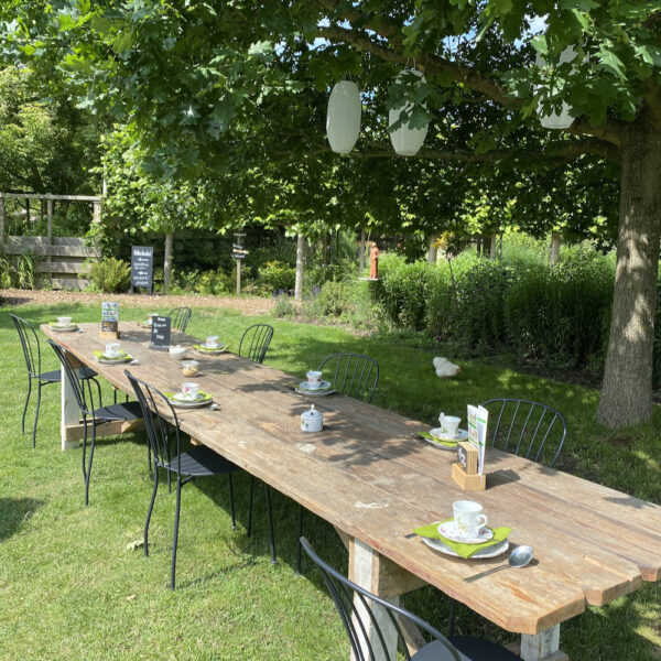 Lange tafel in de tuin voor een high tea