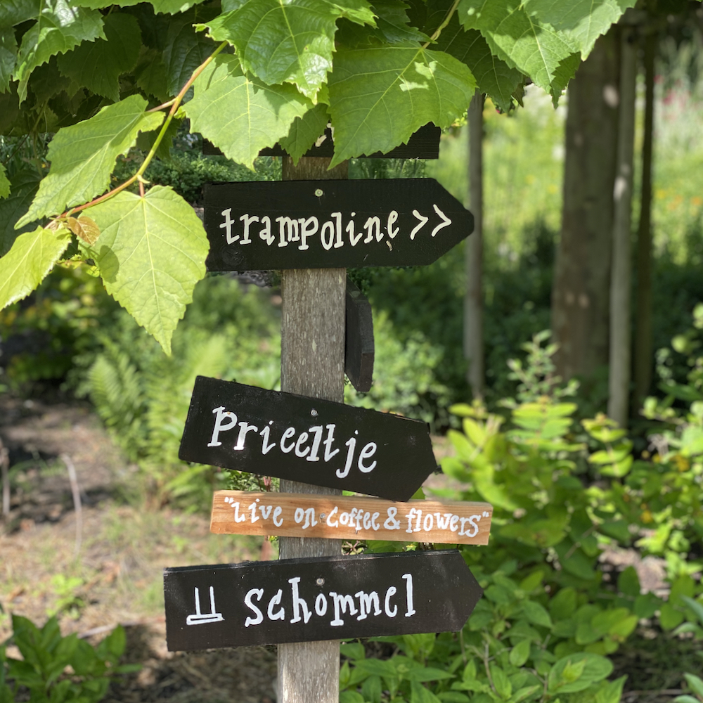 Wegwijzering in de tuin