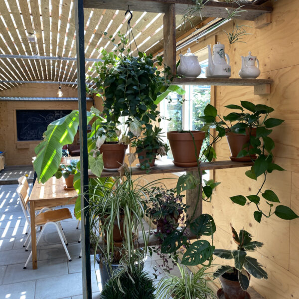 Planken vol planten