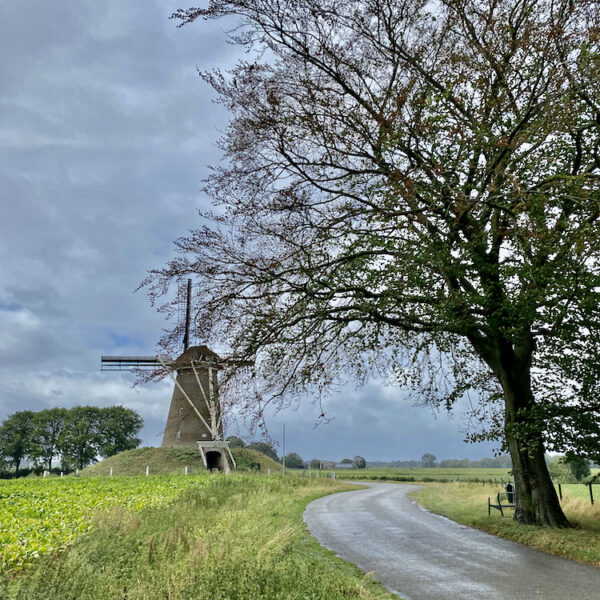 Karakteristiek landschap met een molen