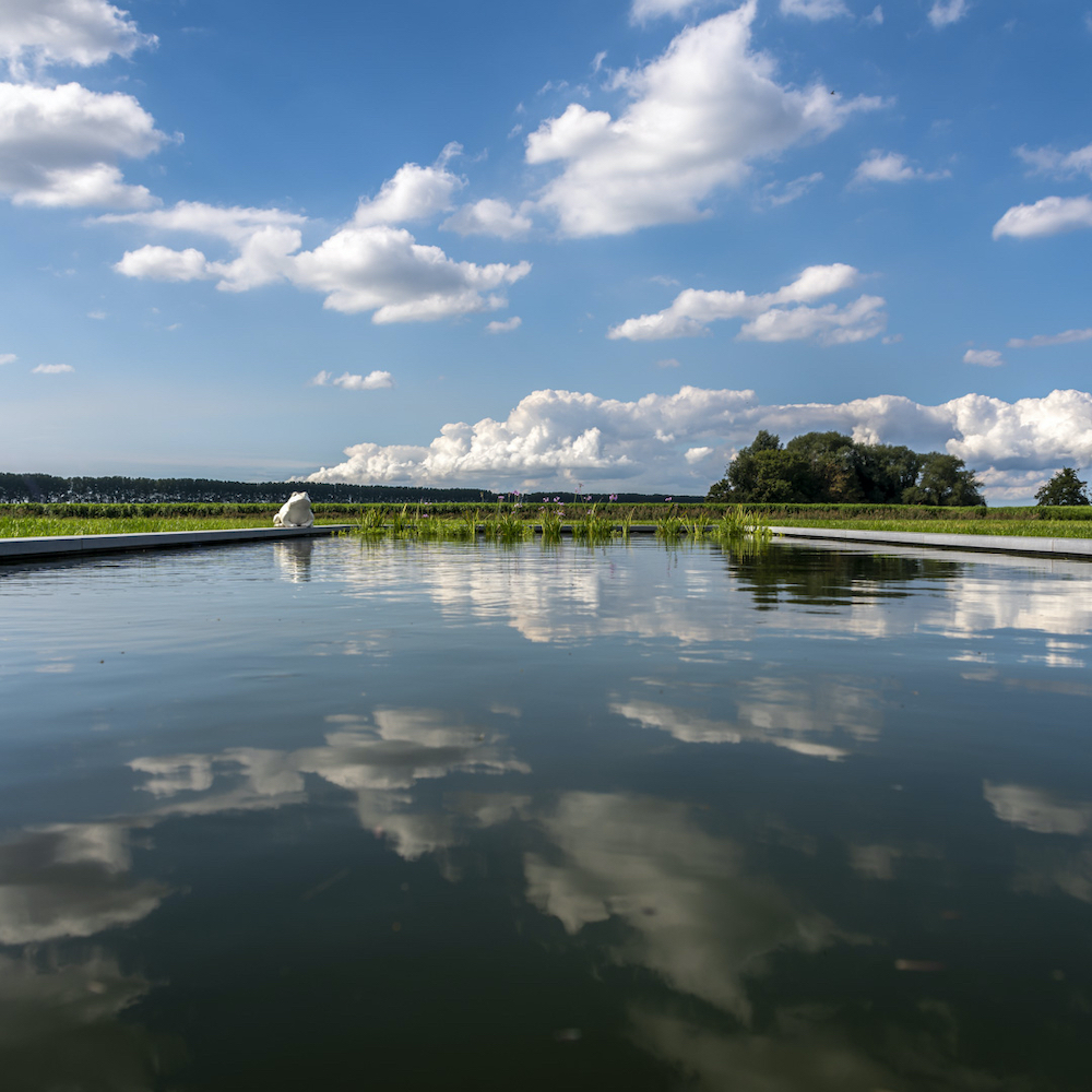 Zwemvijver in de tuin van de B&B in Zeeland