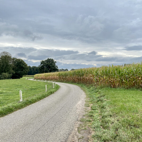Twents landschap met landweg