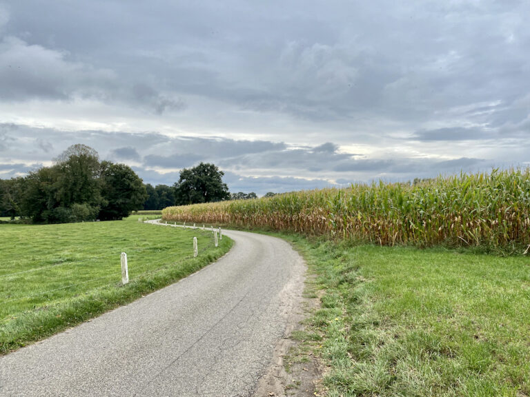 Twents landschap met landweg