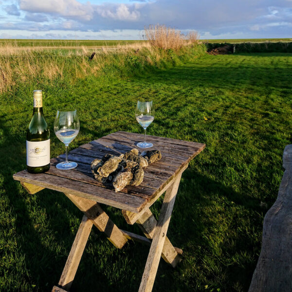 Tafeltje met oesters en wijnglazen aan de rand van de Wadden