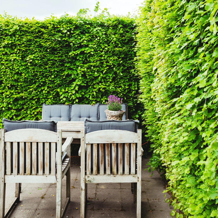 Eigen terras in de tuin bij de B&B in Drenthe