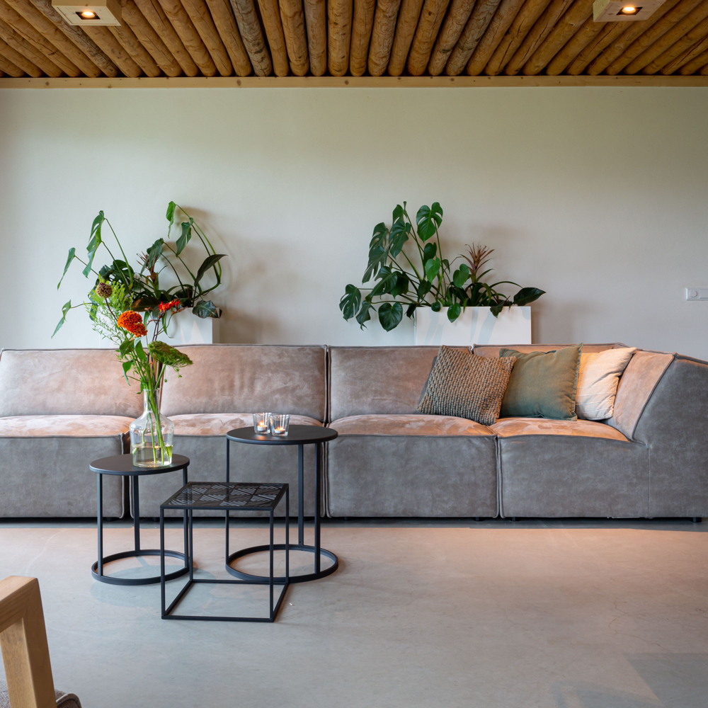 Grote grijze zitbank met planten erboven aan de wand