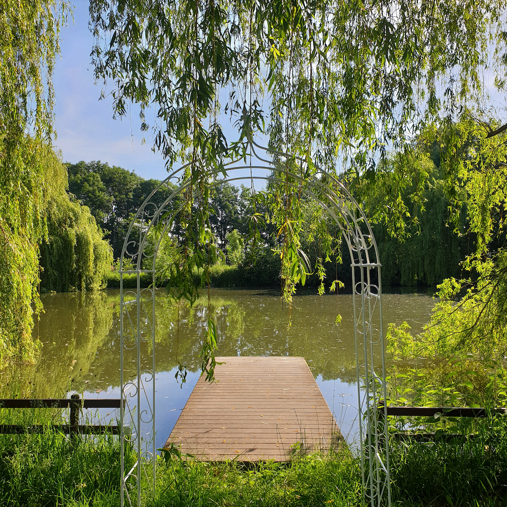 Vijver met steiger in de tuin van de Familie Kip