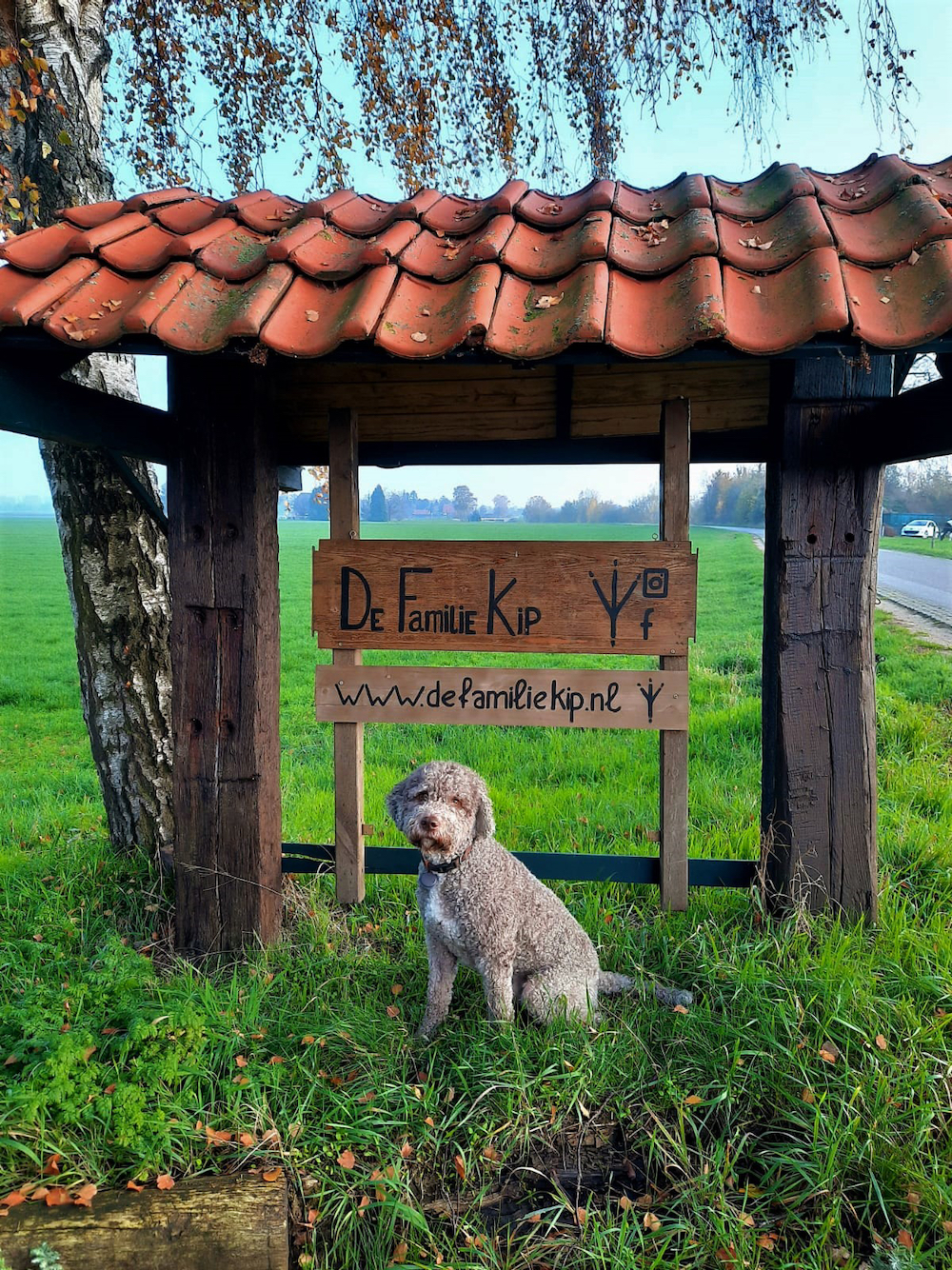 Hond bij een bordje De Familie Kip
