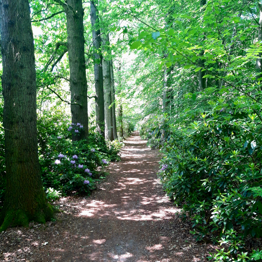 Wandelen vanaf de B&B