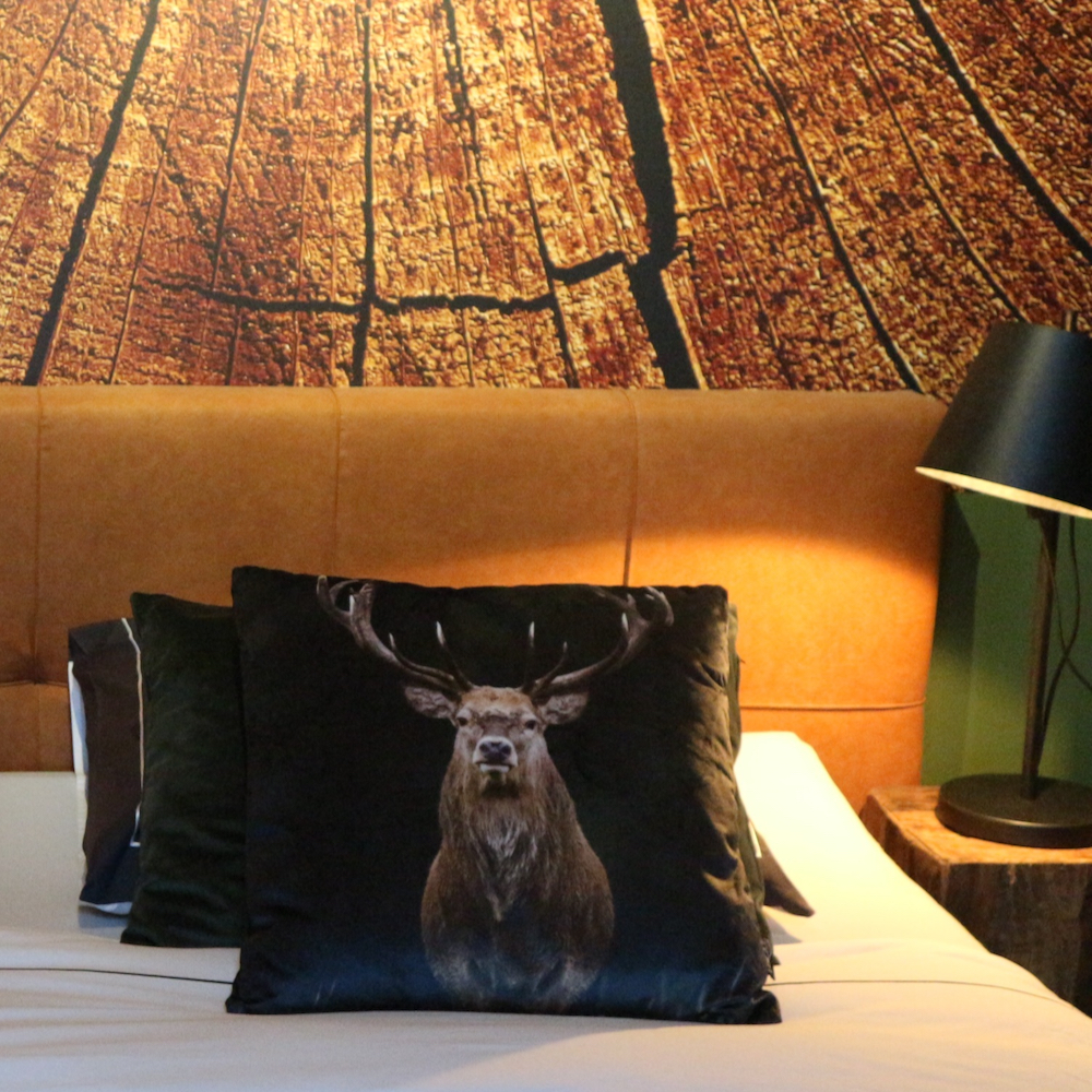 B&B kamer met houtnerf behang op de muur