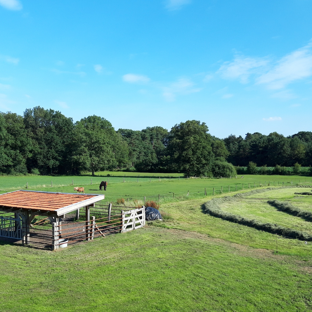 Uitzicht over het grasland