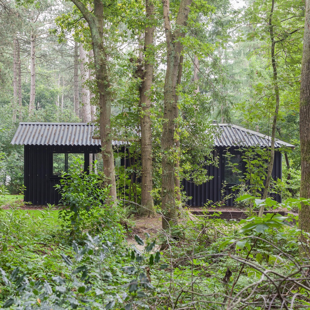 Boshuisje Oudemirdum ligt midden in het bos in Friesland
