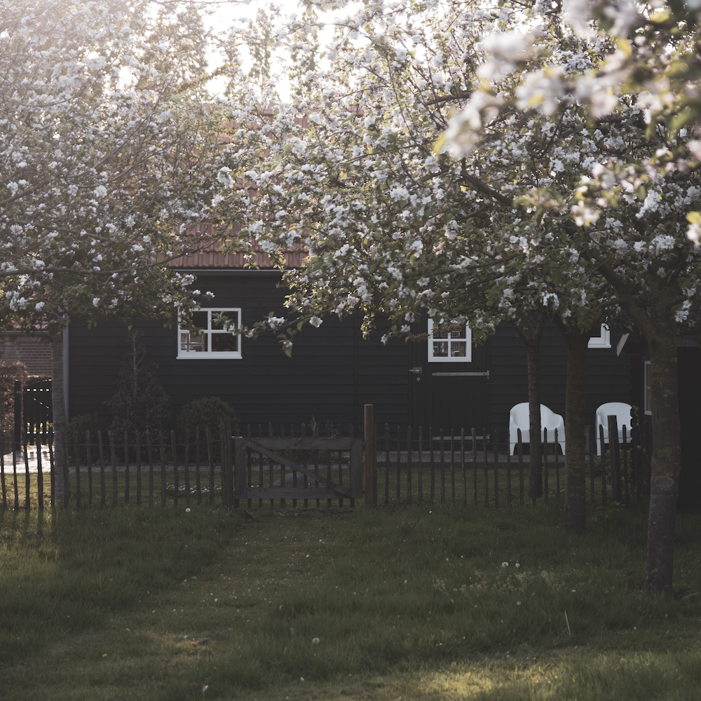 Houten huisje met bloesem in de fruitbomen