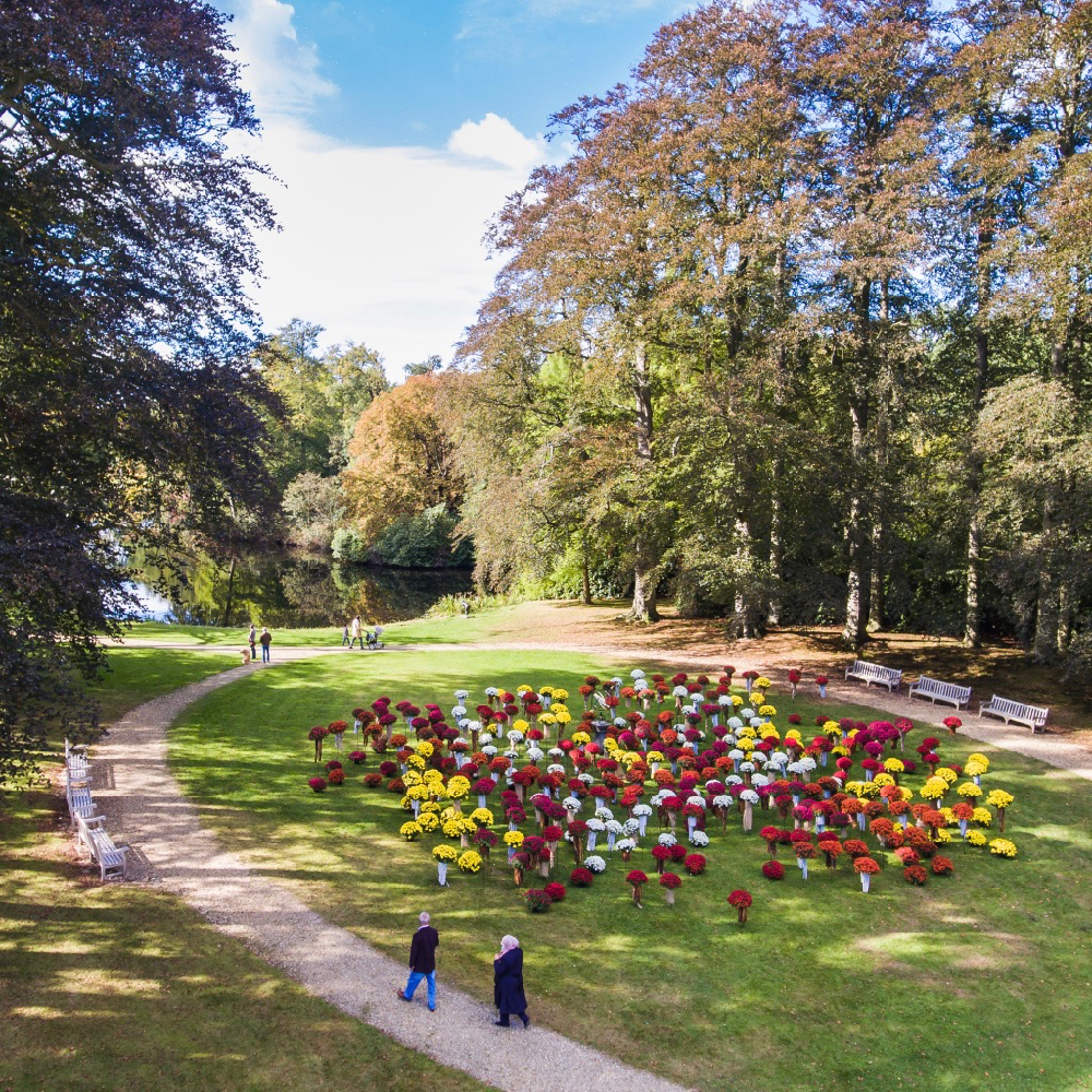 Bloemen op Landgoed Kasteel Groeneveld in Baarn
