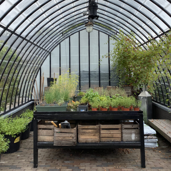 Kas met verse kruiden bij het restaurant in Groenlo