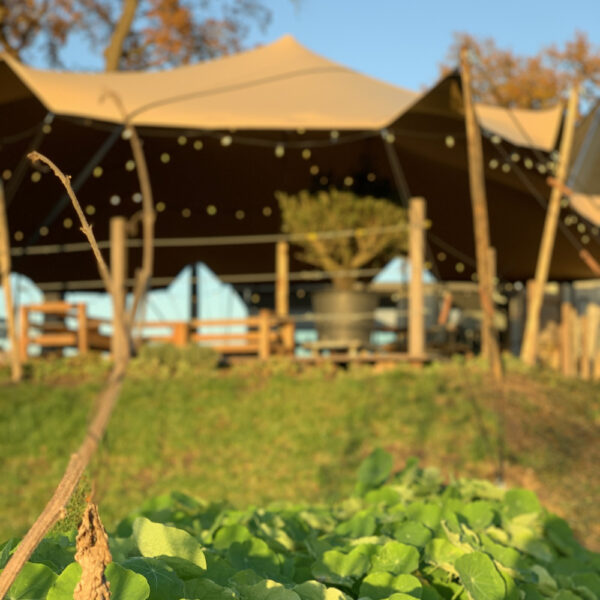 Genieten in de zon bij je hotel in Drenthe