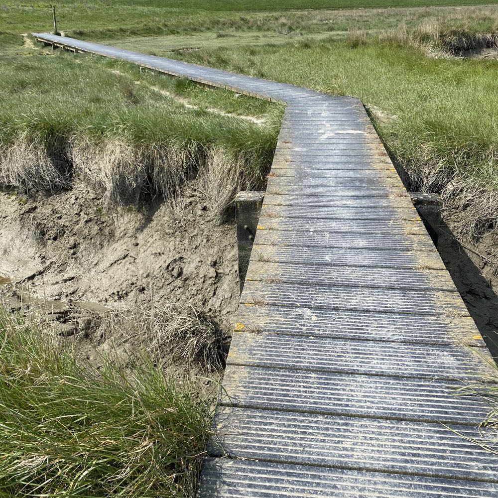 Wandelen in het Verdronken land van Saeftinge