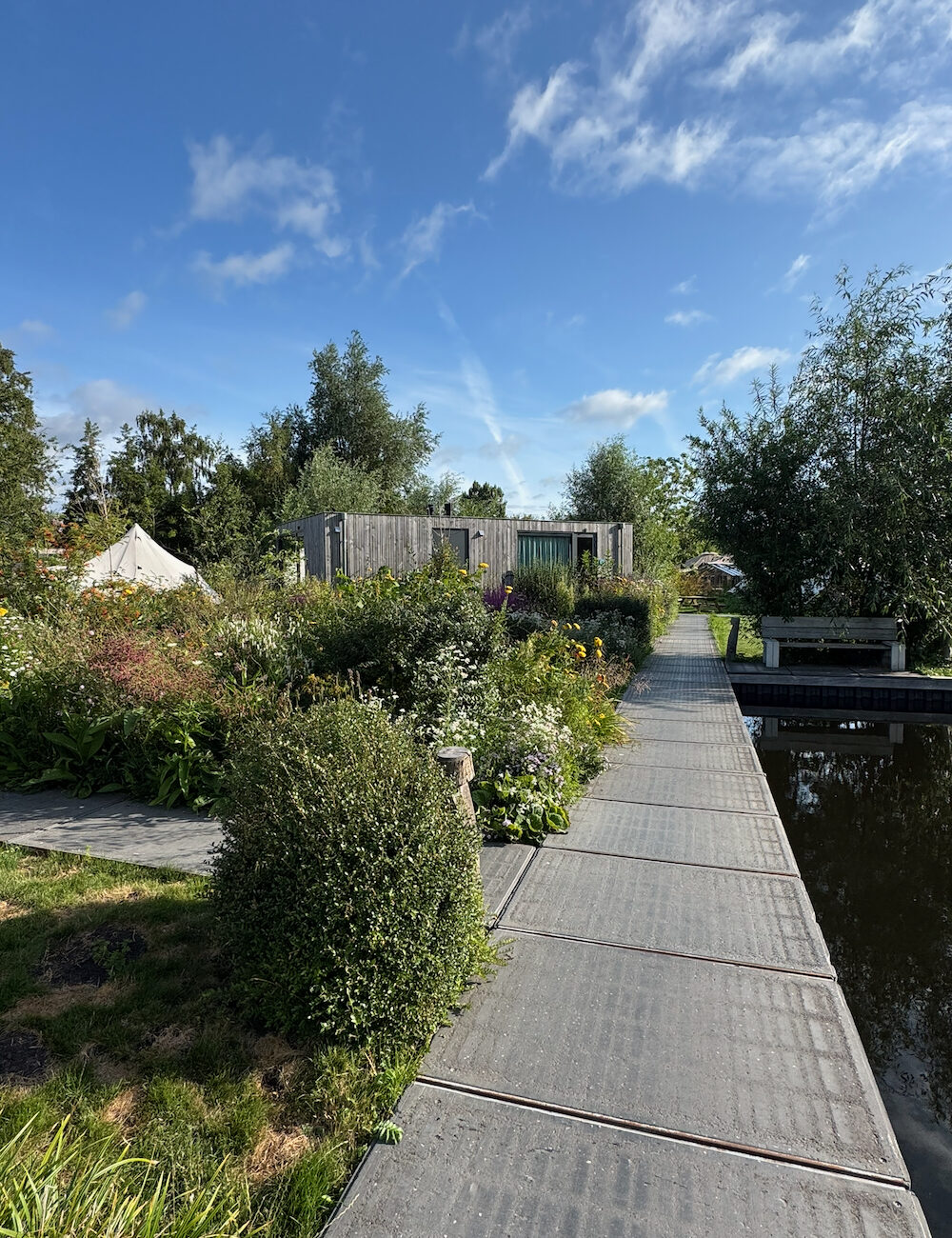Pad naar tiny houses in de haven in Vinkeveen