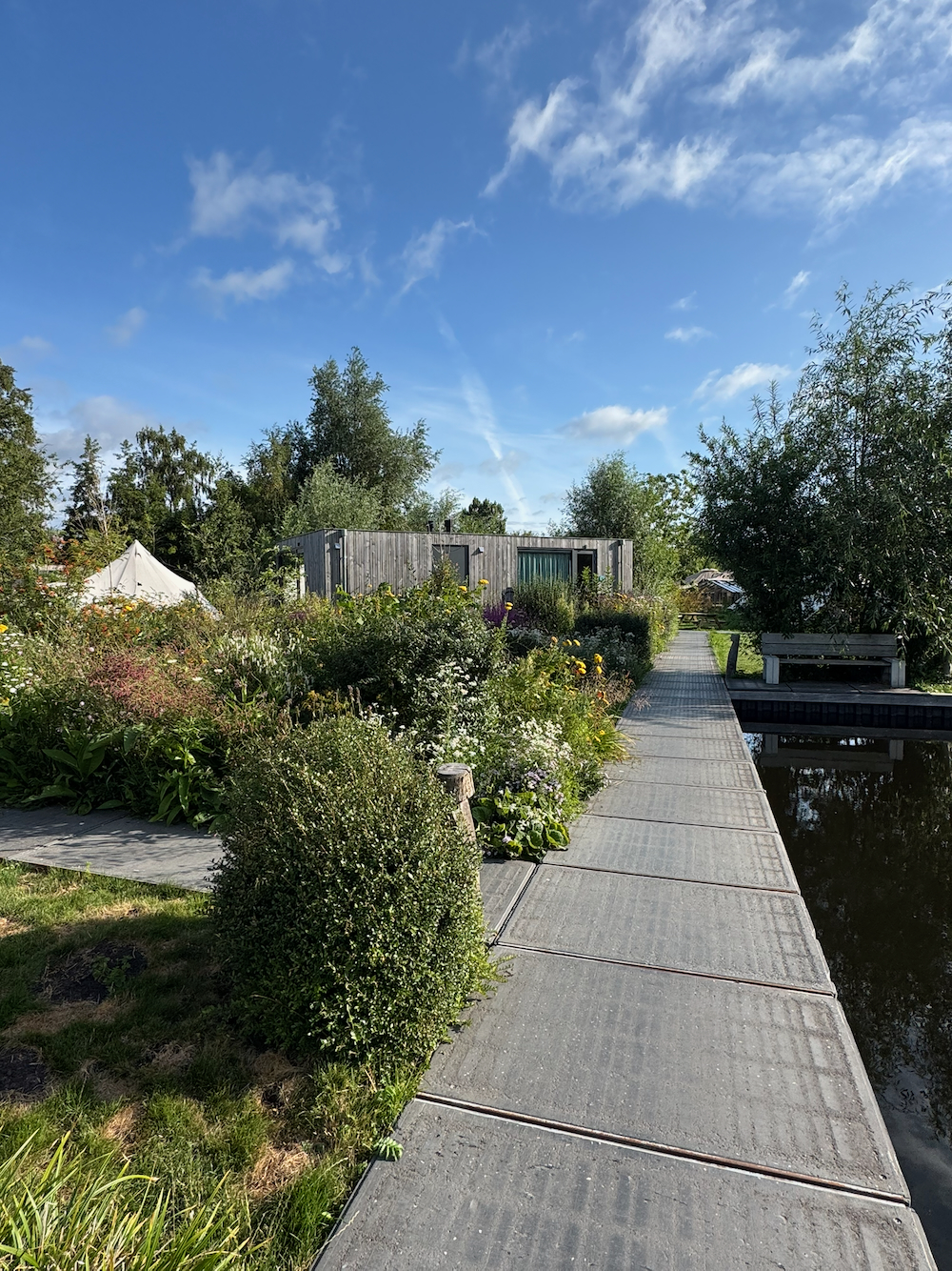 Pad naar tiny houses in de haven in Vinkeveen