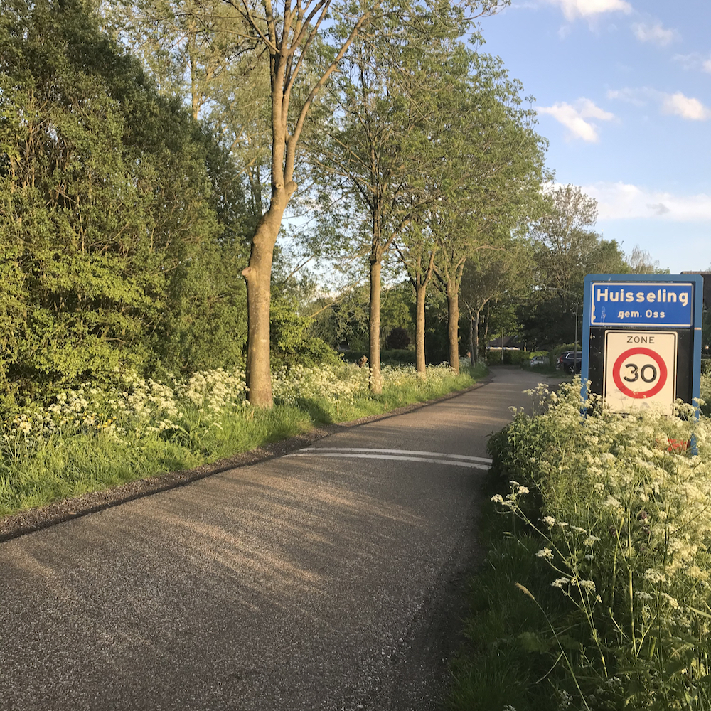 Fluitekruid in de berm