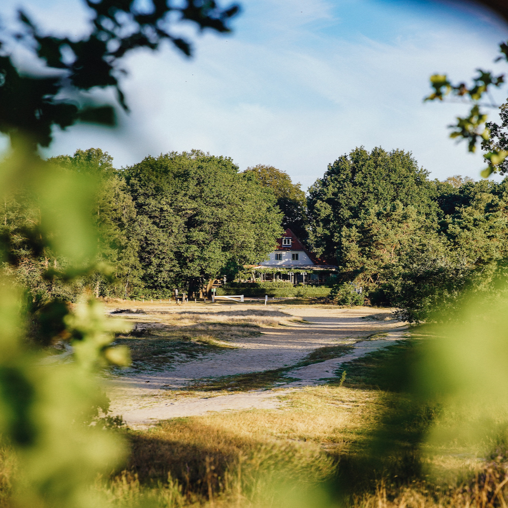 Hotel in het bos op de Veluwe
