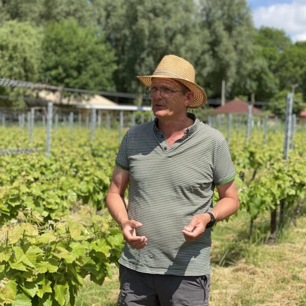 Uitleg in de wijngaard