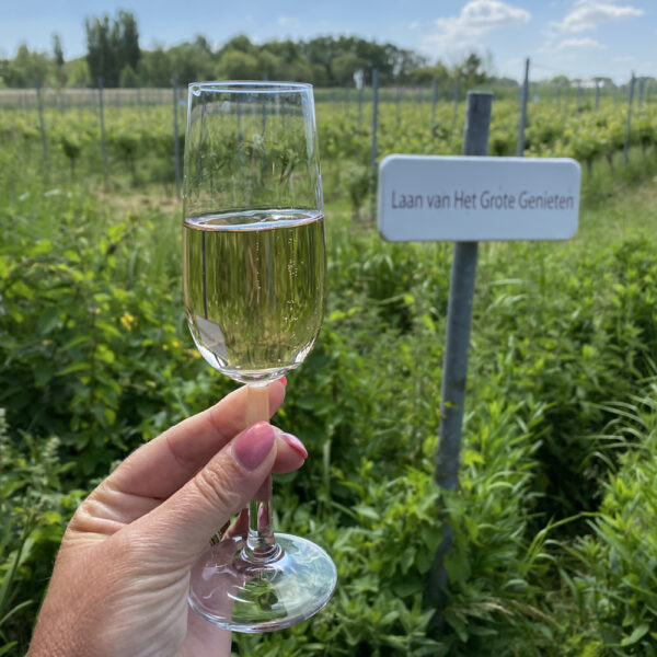 Glas bubbels in de wijngaard