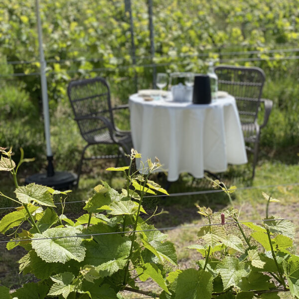 Tafel met wijnglazen en wijnkoeler in de wijngaard