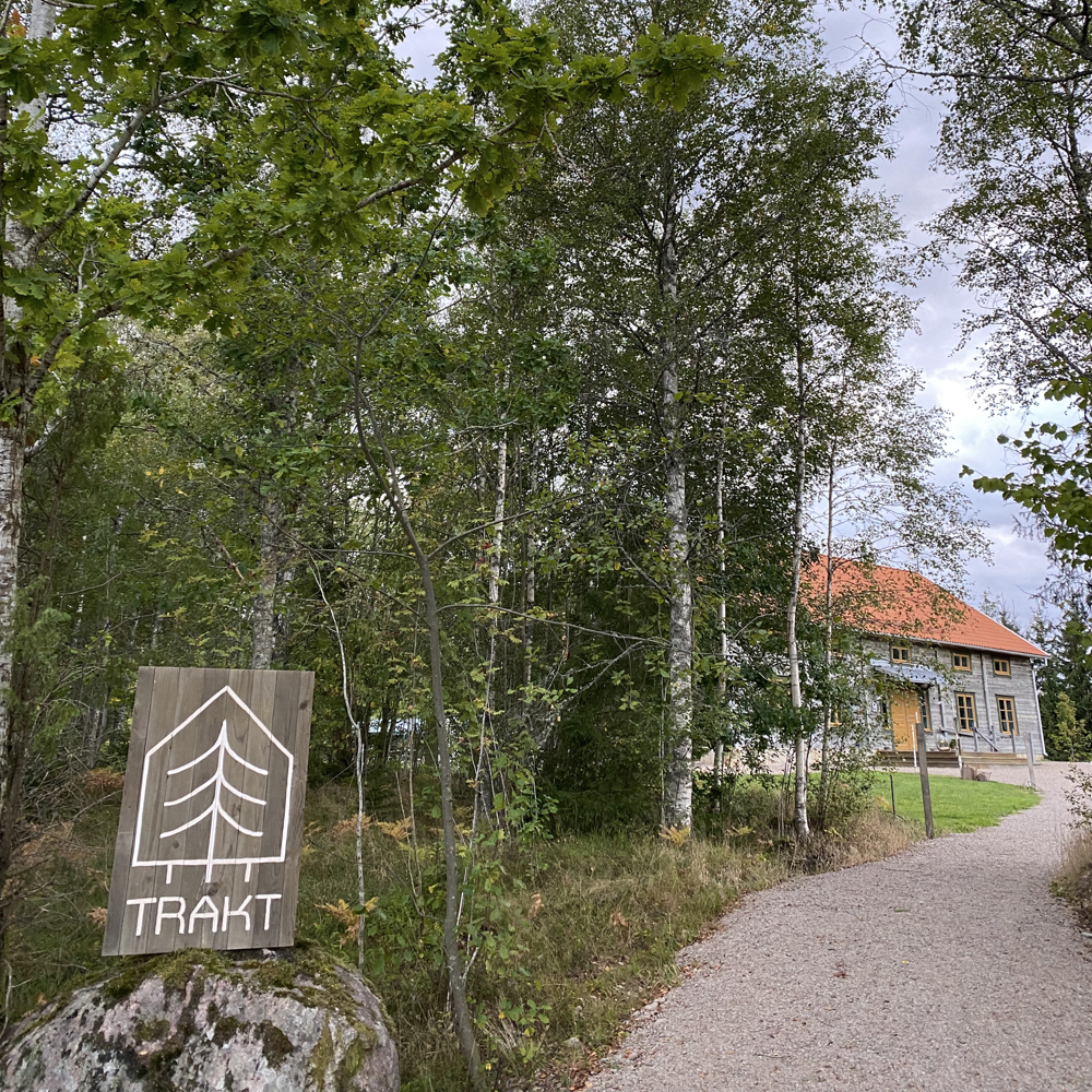 Welkom in het bos van Zweden