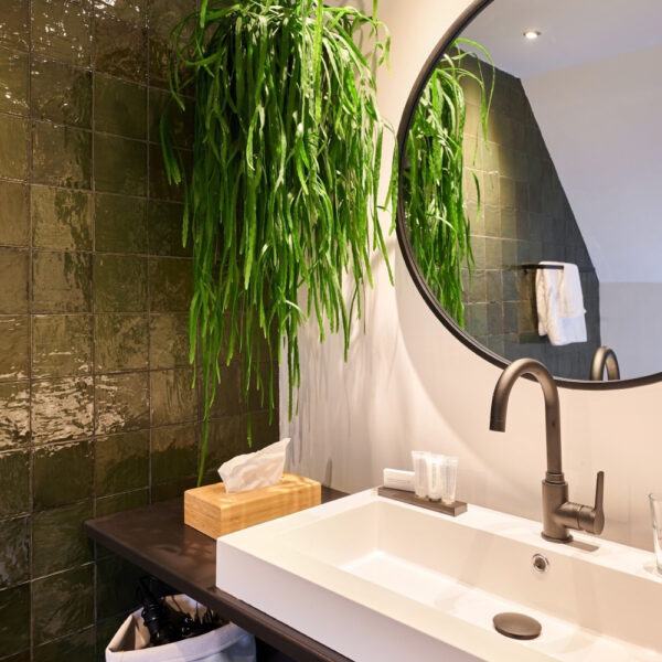 Badkamer in de B&B kamer