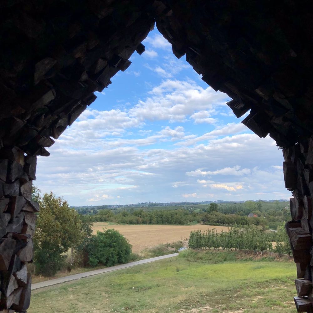 Vrij uitzicht over de wijnvelden van Belgisch Limburg